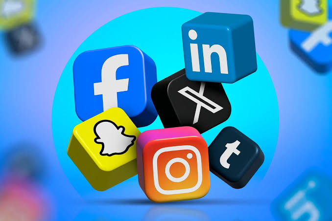 Private Platforms, Public Power: Should Social Media Be Governed by Constitutional Principles?