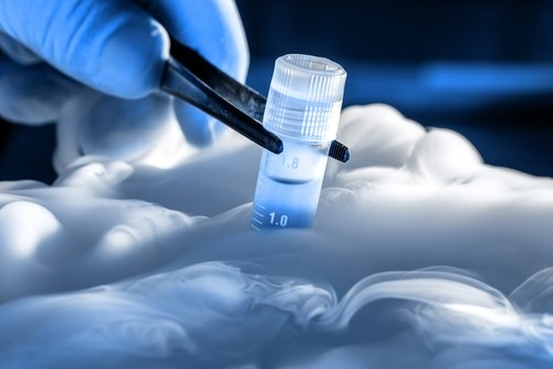 Frozen Heirs: Cryopreservation, Posthumous Conception and the Succession Gap under Section 20 of the Hindu Succession Act, 1956